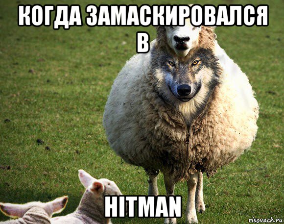 когда замаскировался в hitman, Мем Злая Овца