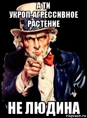 а ти укроп-агрессивное растение не людина, Мем а ты