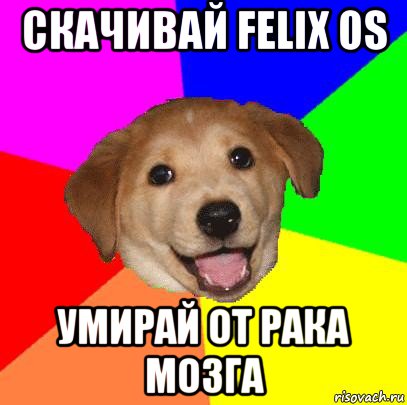 скачивай felix os умирай от рака мозга, Мем Advice Dog