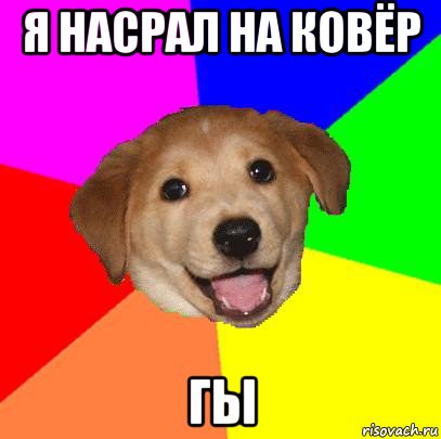 я насрал на ковёр гы, Мем Advice Dog