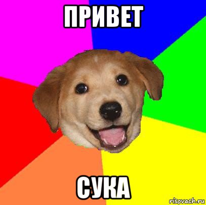 привет сука, Мем Advice Dog