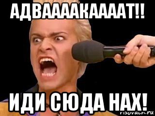 адваааакаааат!! иди сюда нах!, Мем Адвокат