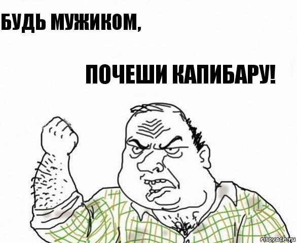 Будь мужиком, почеши капибару!