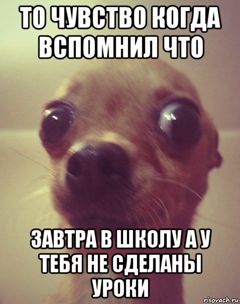 то чувство когда вспомнил что завтра в школу а у тебя не сделаны уроки, Мем  Аргументный аргумент
