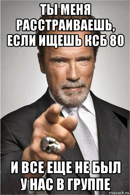 ты меня расстраиваешь, если ищешь ксб 80 и все еще не был у нас в группе, Мем   Арнольд