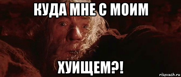 куда мне с моим хуищем?!, Мем бегите глупцы