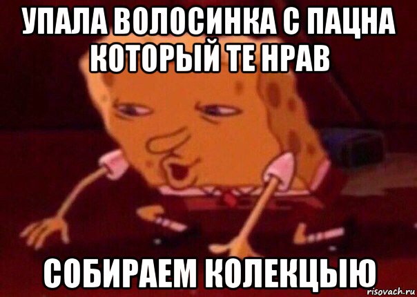 упала волосинка с пацна который те нрав собираем колекцыю, Мем    Bettingmemes