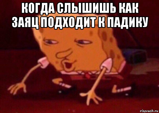 когда слышишь как заяц подходит к падику , Мем    Bettingmemes