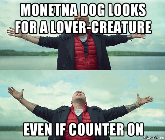 monetna dog looks for a lover-creature even if counter on, Мем Безлимитище