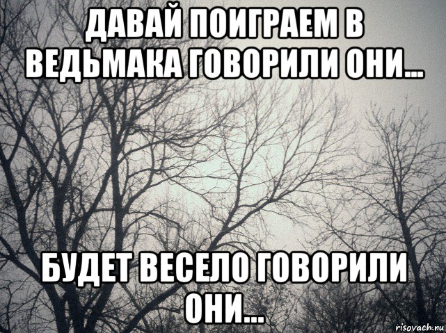 давай поиграем в ведьмака говорили они... будет весело говорили они..., Мем  будет весело говорили они