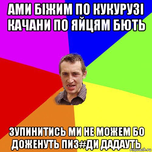 ами біжим по кукурузі качани по яйцям бють зупинитись ми не можем бо доженуть пиз#ди дадауть, Мем Чоткий паца