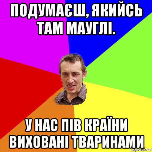 подумаєш, якийсь там мауглі. у нас пів країни виховані тваринами, Мем Чоткий паца