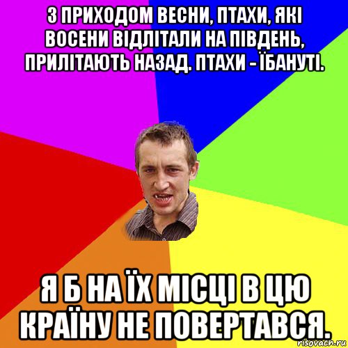 з приходом весни, птахи, які восени відлітали на південь, прилітають назад. птахи - їбануті. я б на їх місці в цю країну не повертався., Мем Чоткий паца