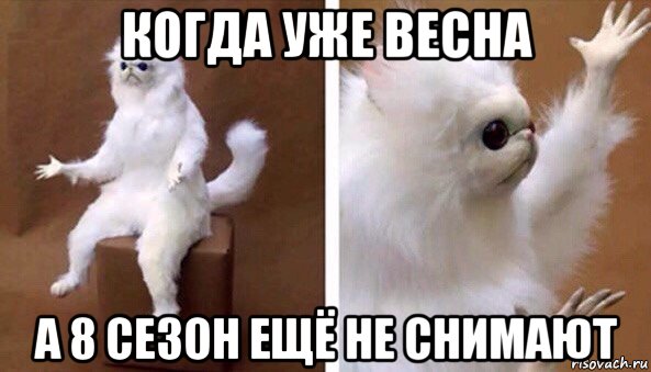 когда уже весна а 8 сезон ещё не снимают, Мем Чучело кота