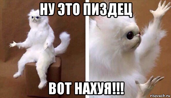 ну это пиздец вот нахуя!!!, Мем Чучело кота