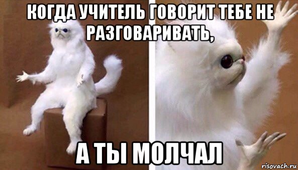 когда учитель говорит тебе не разговаривать, а ты молчал, Мем Чучело кота