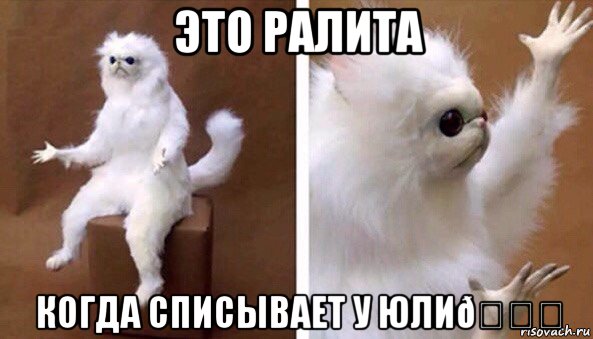 Мем Чучело кота