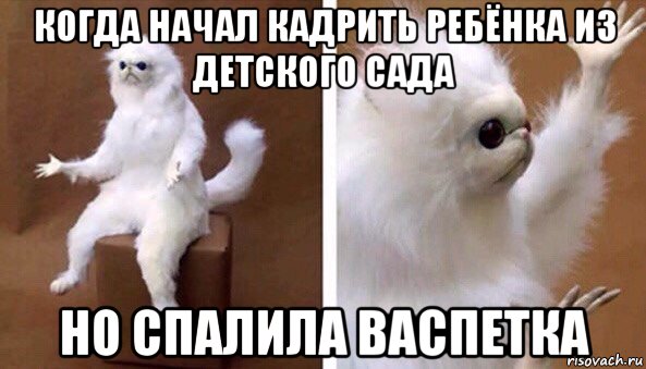 когда начал кадрить ребёнка из детского сада но спалила васпетка, Мем Чучело кота