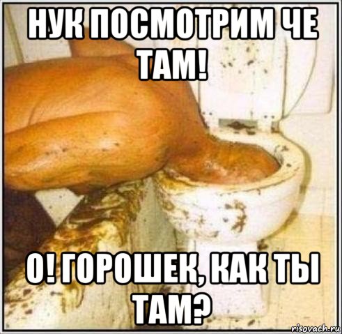 нук посмотрим че там! о! горошек, как ты там?, Мем Дайвер