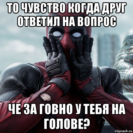 то чувство когда друг ответил на вопрос че за говно у тебя на голове?, Мем     Дэдпул