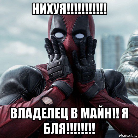 нихуя!!!!!!!!!!! владелец в майн!! я бля!!!!!!!!, Мем     Дэдпул