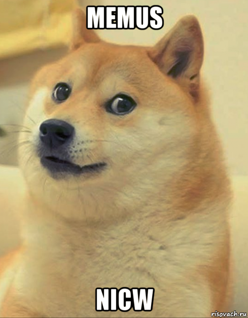 memus nicw, Мем doge woof