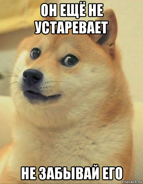 он ещё не устаревает не забывай его, Мем doge woof