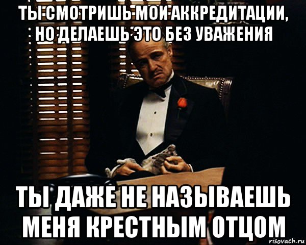 ты смотришь мои аккредитации, но делаешь это без уважения ты даже не называешь меня крестным отцом, Мем Дон Вито Корлеоне