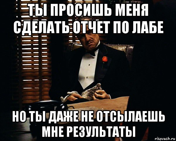 ты просишь меня сделать отчет по лабе но ты даже не отсылаешь мне результаты, Мем Дон Вито Корлеоне