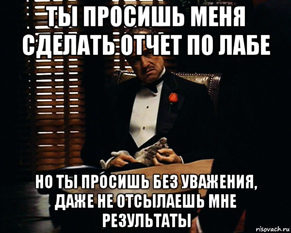 ты просишь меня сделать отчет по лабе но ты просишь без уважения, даже не отсылаешь мне результаты, Мем Дон Вито Корлеоне