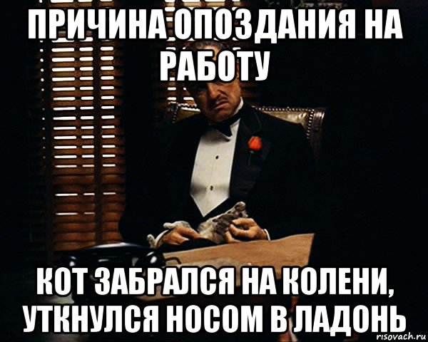 причина опоздания на работу кот забрался на колени, уткнулся носом в ладонь, Мем Дон Вито Корлеоне