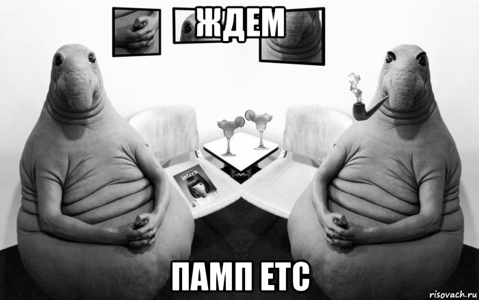 ждем памп etc