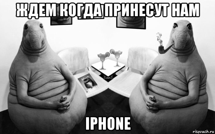 ждем когда принесут нам іphone