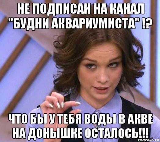 не подписан на канал "будни аквариумиста" !? что бы у тебя воды в акве на донышке осталось!!!, Мем Шурыгина показывает на донышке