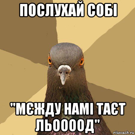 послухай собі "мєжду намі таєт льоооод", Мем голубь