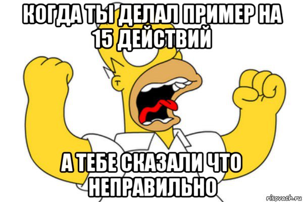 когда ты делал пример на 15 действий а тебе сказали что неправильно, Мем Разъяренный Гомер