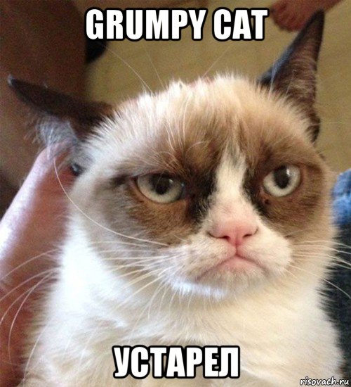 grumpy cat устарел