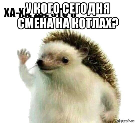 у кого сегодня смена на котлах? 