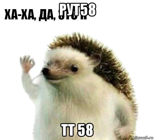 рут58 тт 58, Мем Ха-ха да это я