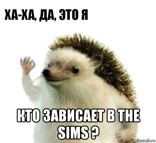  кто зависает в the sims ?, Мем Ха-ха да это я