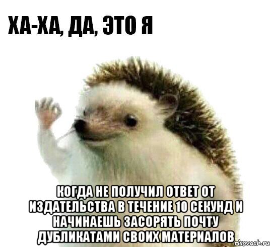  когда не получил ответ от издательства в течение 10 секунд и начинаешь засорять почту дубликатами своих материалов, Мем Ха-ха да это я