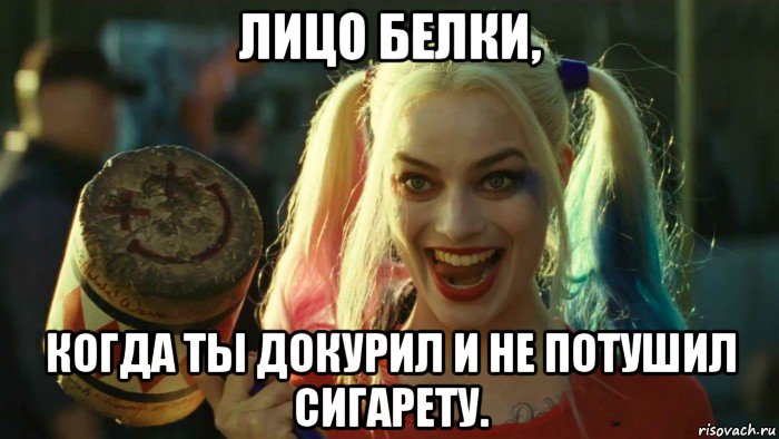 лицо белки, когда ты докурил и не потушил сигарету., Мем    Harley quinn