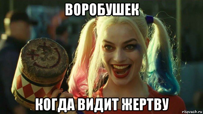 воробушек когда видит жертву, Мем    Harley quinn