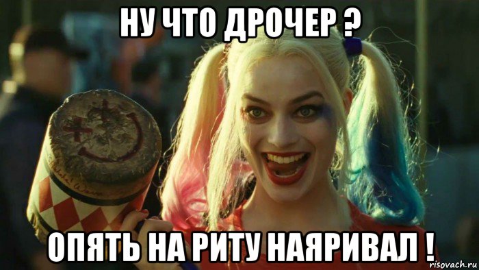 ну что дрочер ? опять на риту наяривал !, Мем    Harley quinn