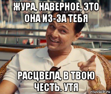 жура, наверное, это она из-за тебя расцвела, в твою честь. утя, Мем Хитрый Гэтсби