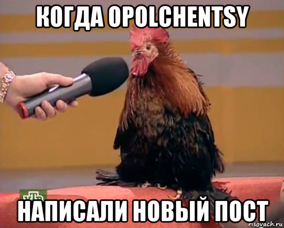 когда opolchentsy написали новый пост