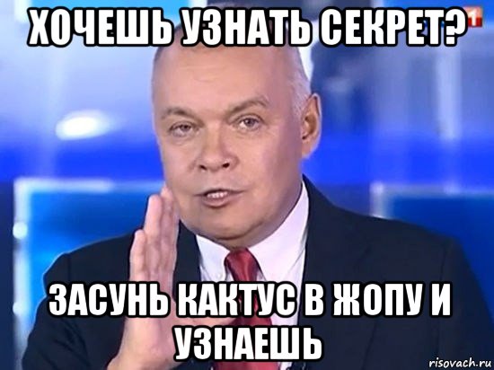 хочешь узнать секрет? засунь кактус в жопу и узнаешь, Мем Киселёв 2014