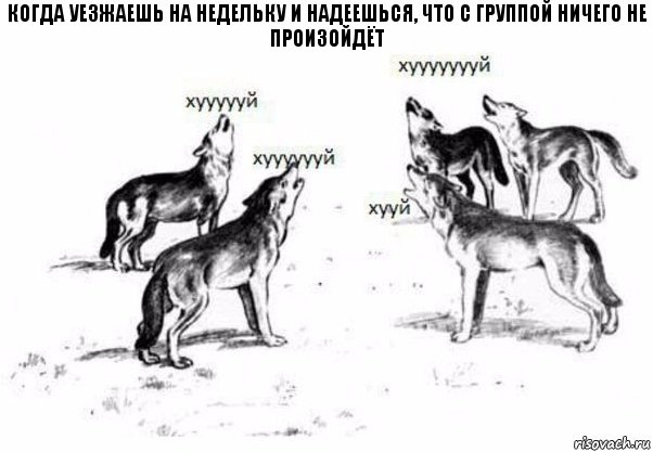 когда уезжаешь на недельку и надеешься, что с группой ничего не произойдёт, Комикс Когда хочешь