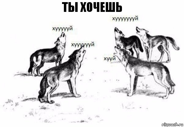 Ты хочешь, Комикс Когда хочешь