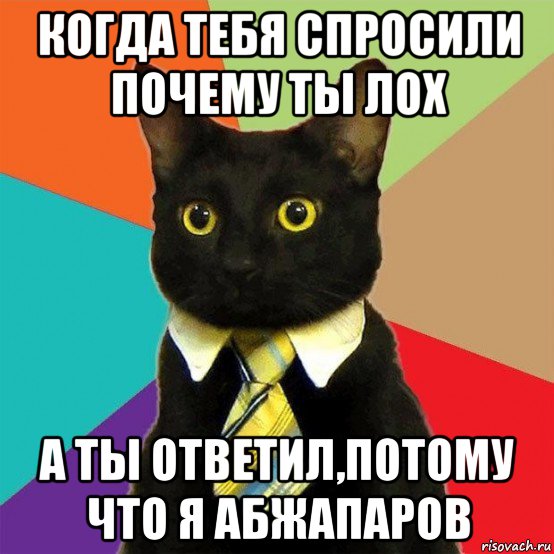 когда тебя спросили почему ты лох а ты ответил,потому что я абжапаров, Мем  Кошечка